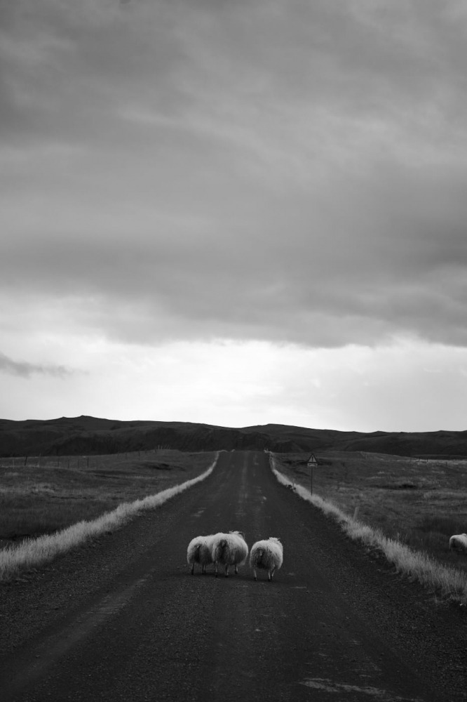  Linda Leitner Photography