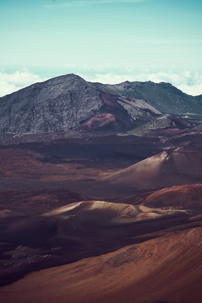  Linda Leitner Photography