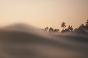  Linda Leitner Photography