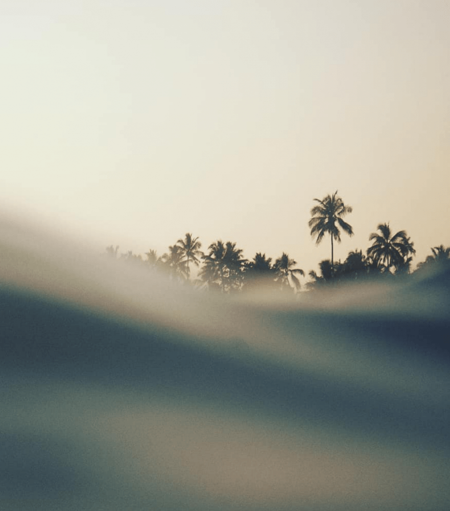  Linda Leitner Photography