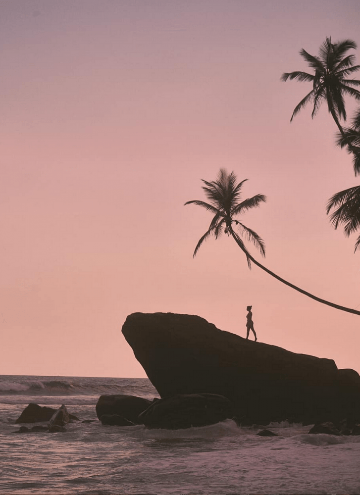  Linda Leitner Photography