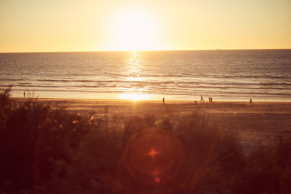  Linda Leitner Photography