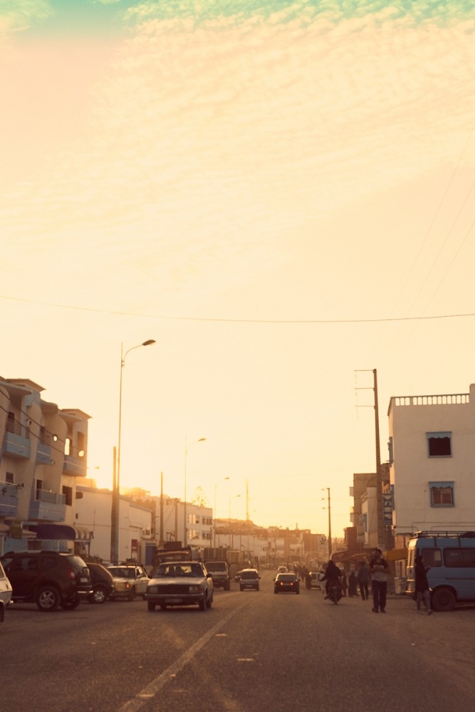  Linda Leitner Photography