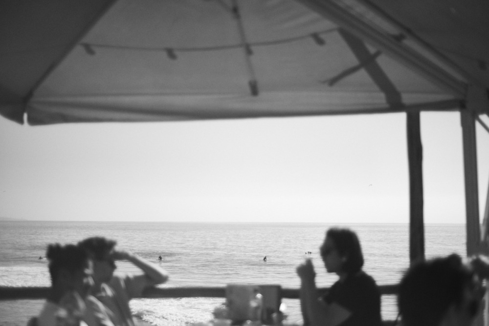  Linda Leitner Photography