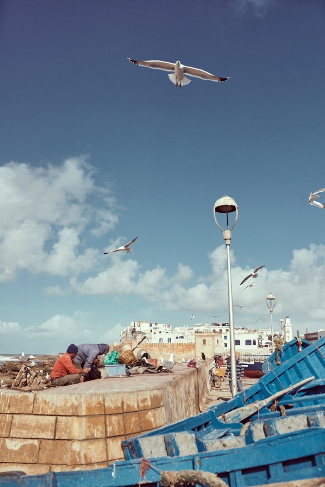  Linda Leitner Photography