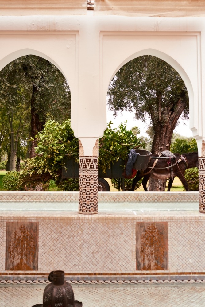  Linda Leitner Photography