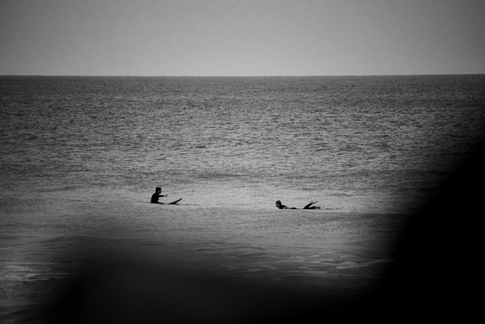  Linda Leitner Photography