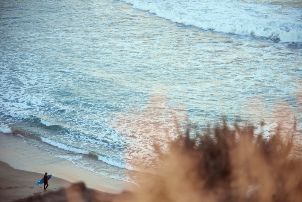  Linda Leitner Photography