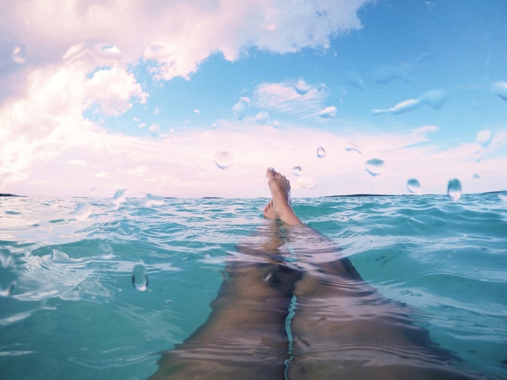  Linda Leitner Photography