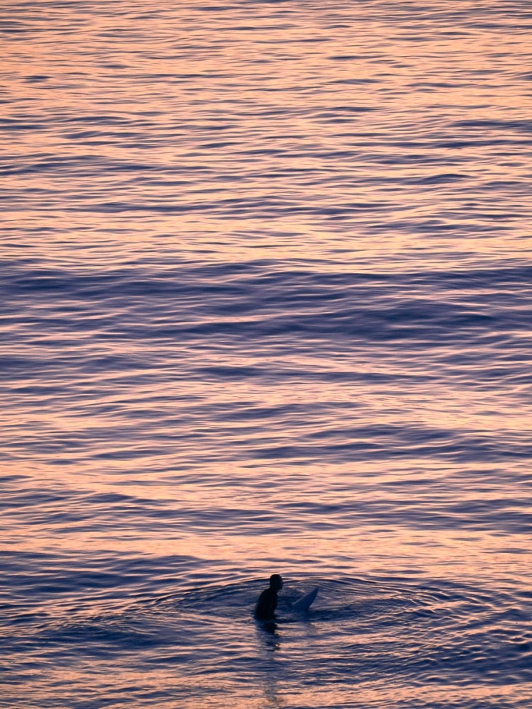  Linda Leitner Photography