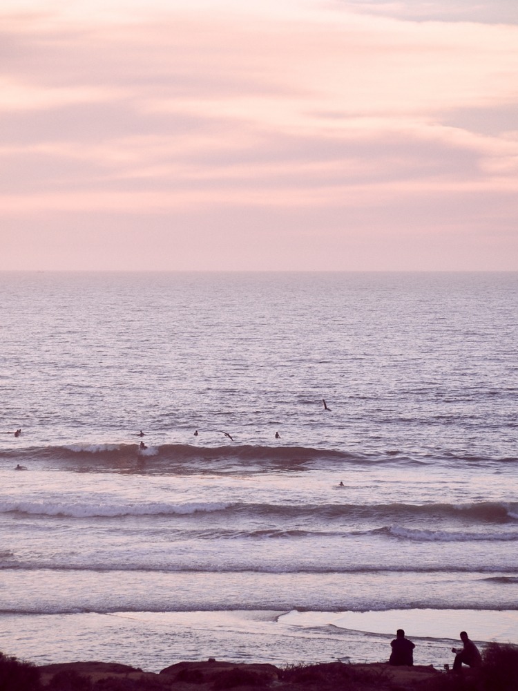  Linda Leitner Photography