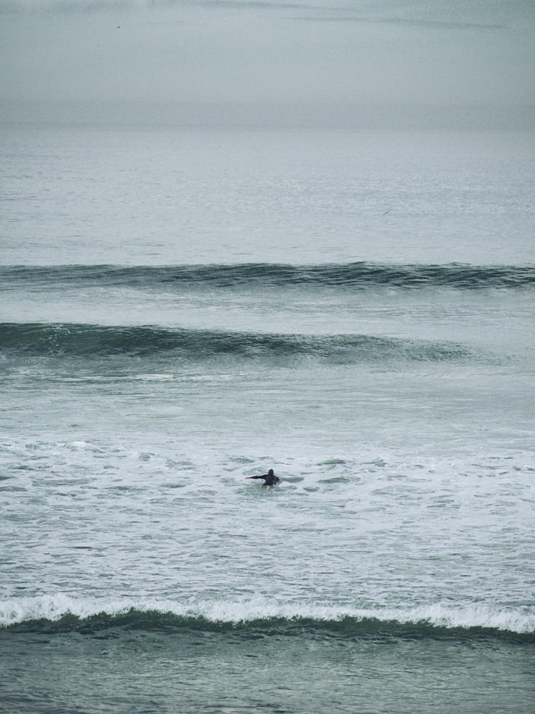  Linda Leitner Photography