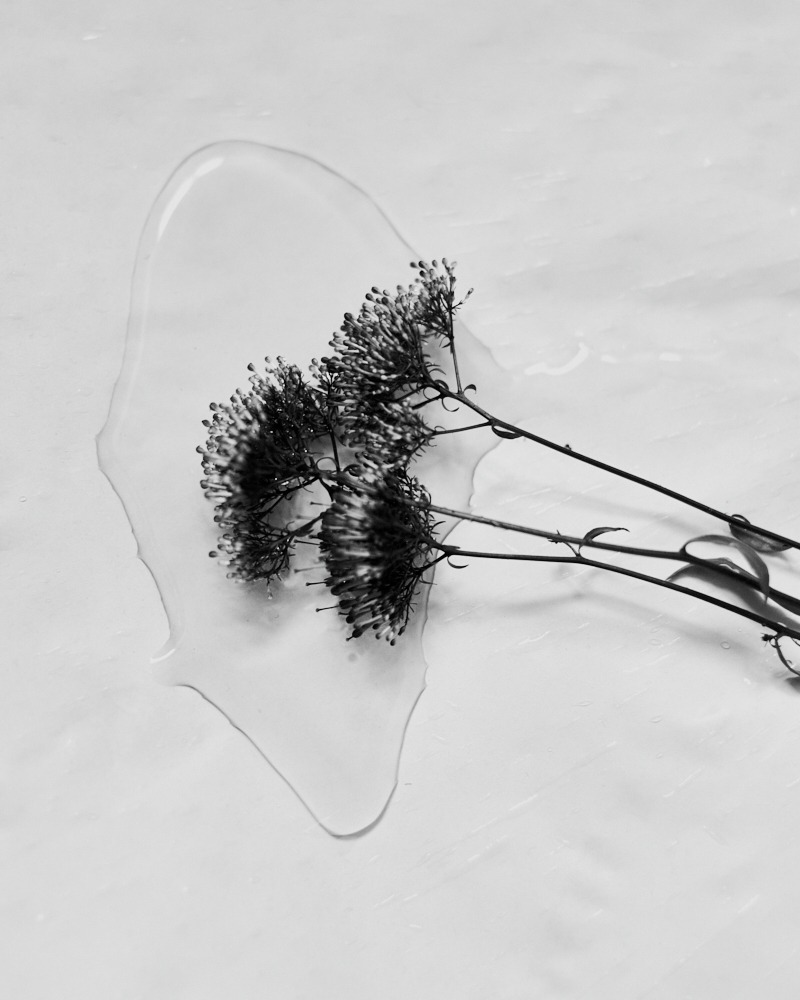  Linda Leitner Photography