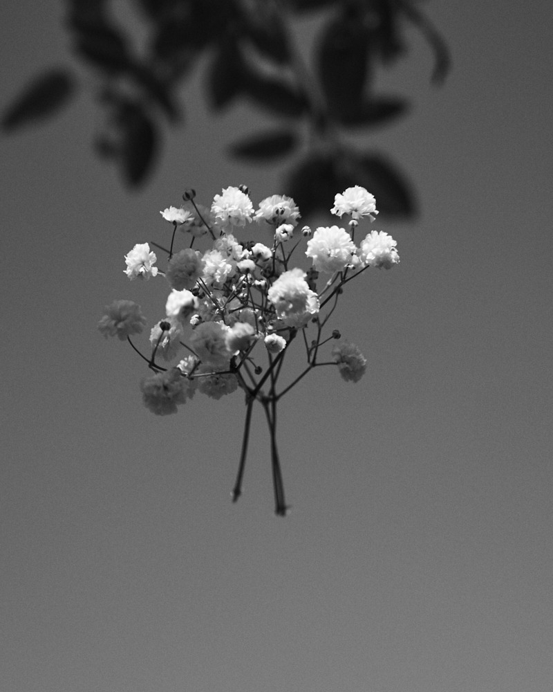  Linda Leitner Photography