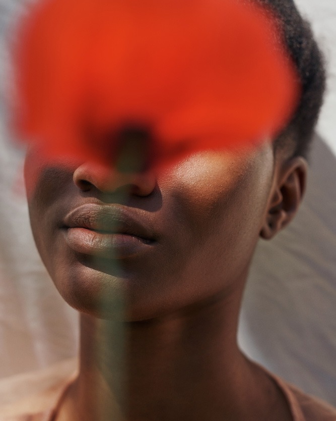  Linda Leitner Photography