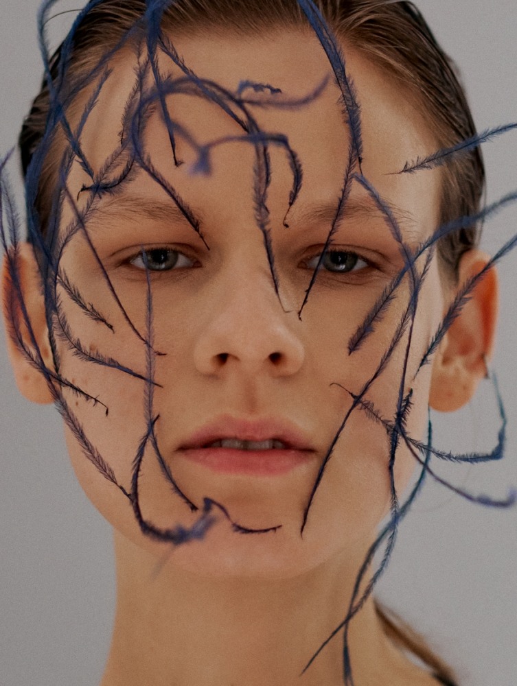  Linda Leitner Photography