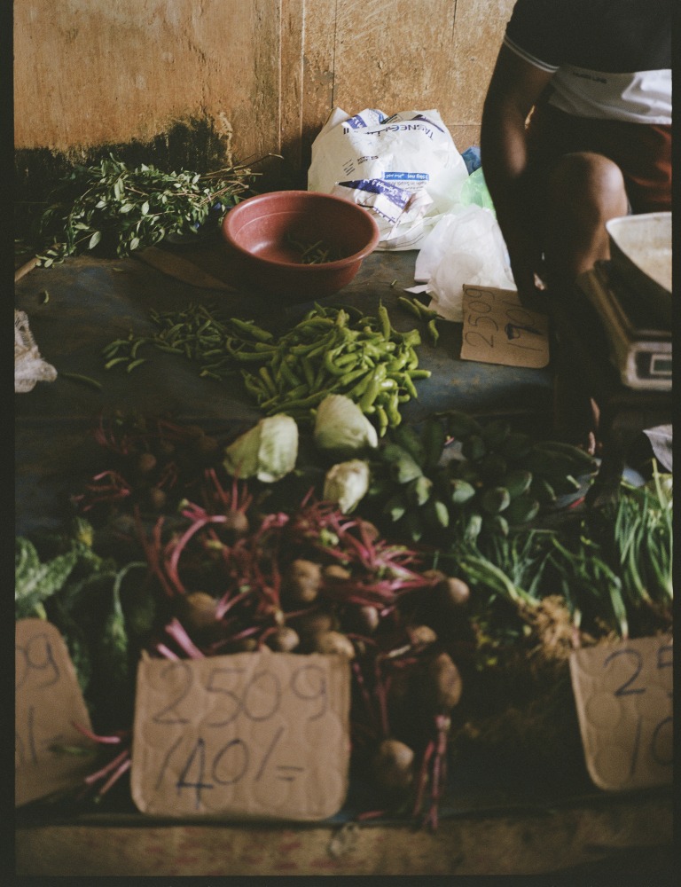 Linda Leitner Photography