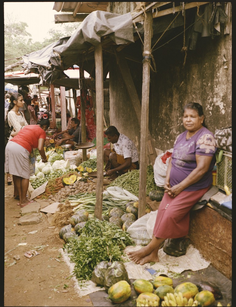 Linda Leitner Photography