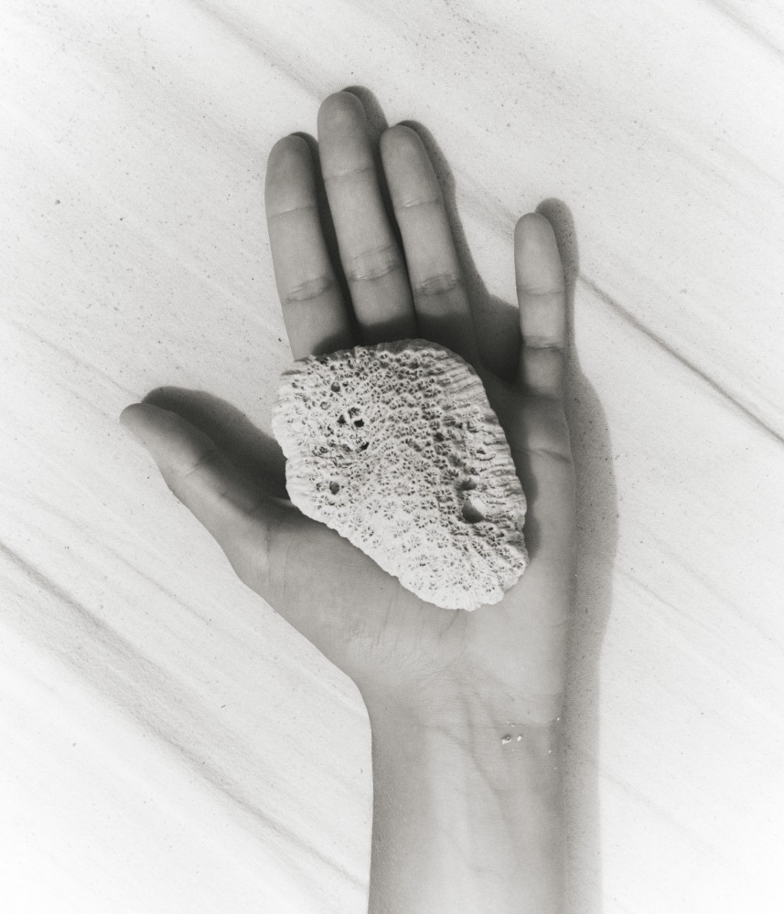  Linda Leitner Photography