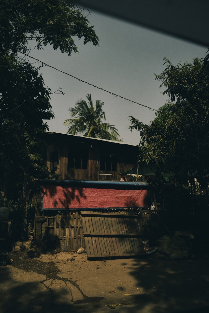 Linda Leitner Photography