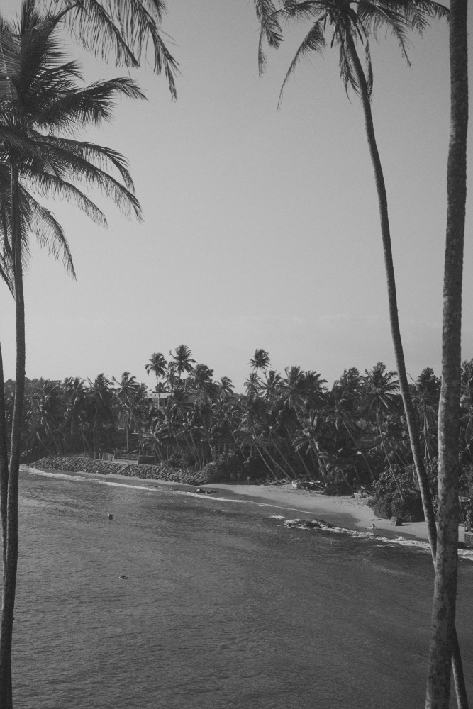 Linda Leitner Photography