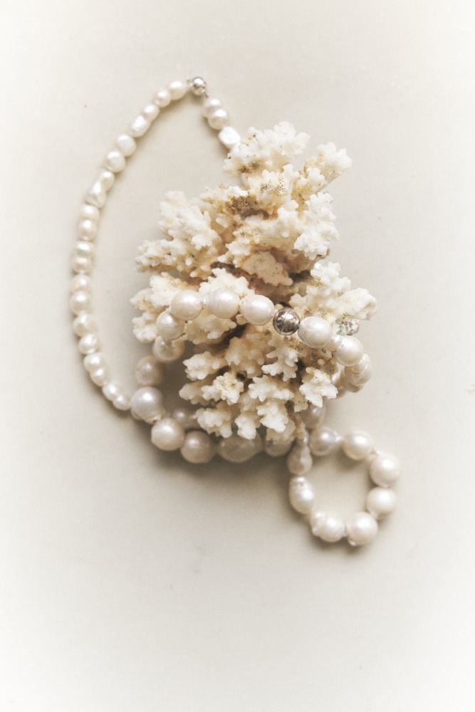  Linda Leitner Photography