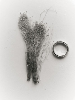 Linda Leitner Photography
