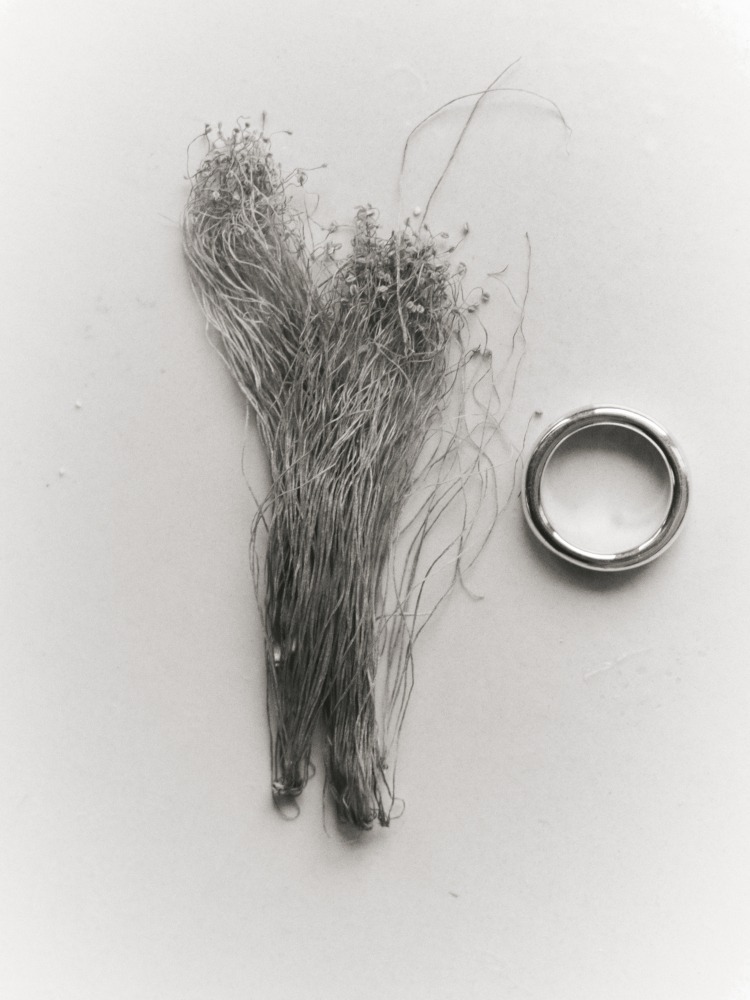  Linda Leitner Photography