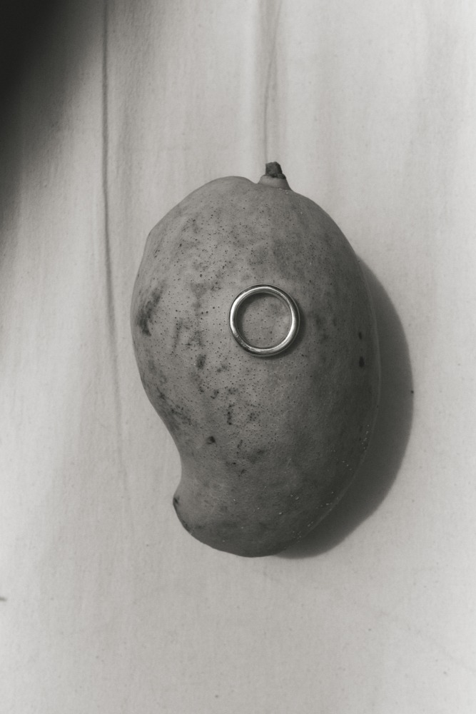 Linda Leitner Photography