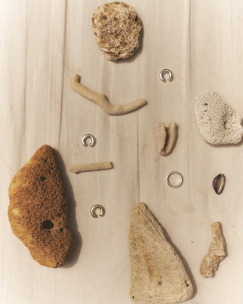 Linda Leitner Photography