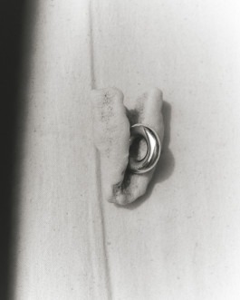 Linda Leitner Photography