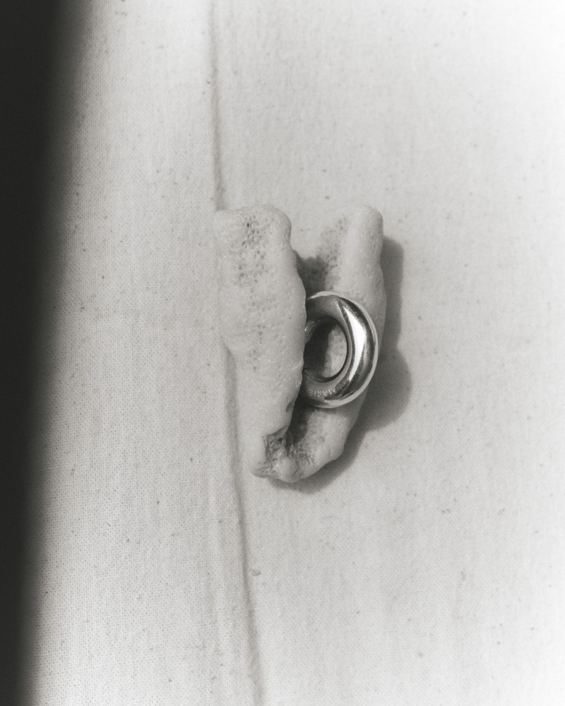 Linda Leitner Photography