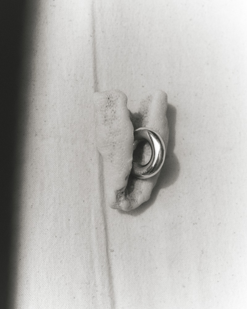  Linda Leitner Photography