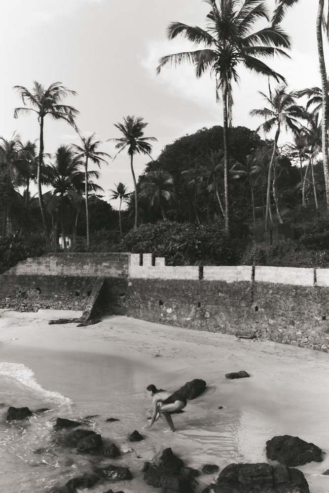 Linda Leitner Photography