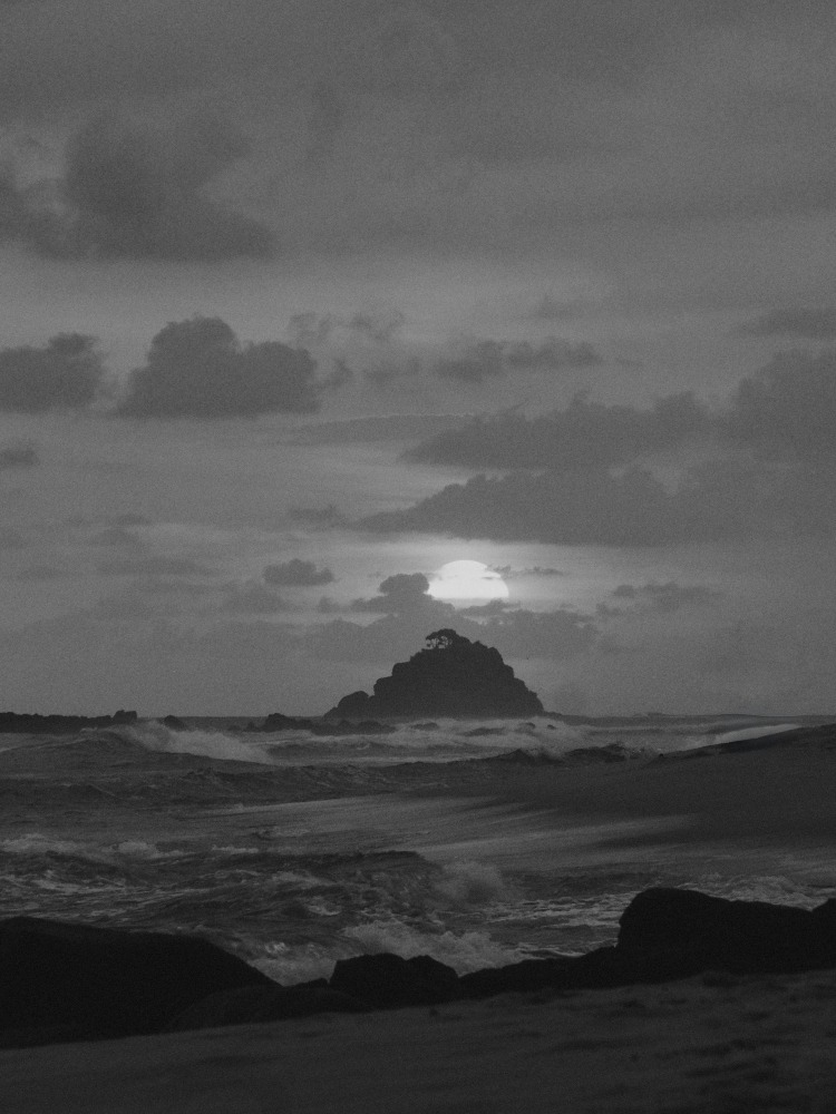 Linda Leitner Photography