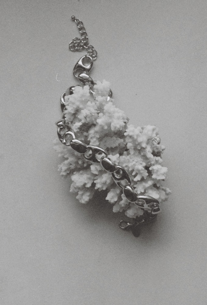 Linda Leitner Photography