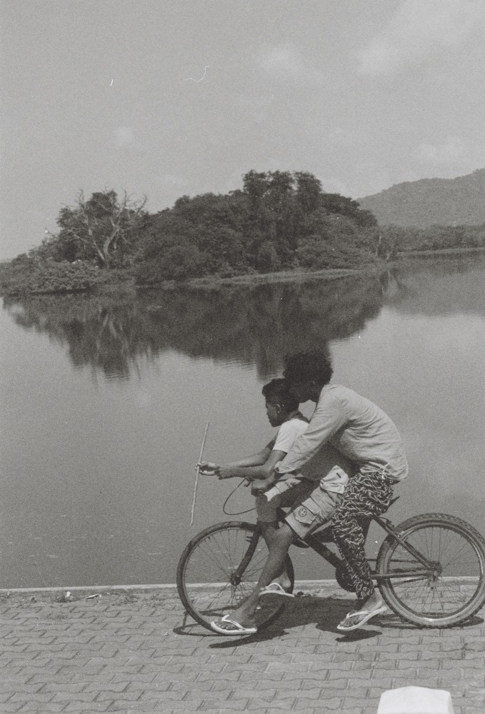 Linda Leitner Photography